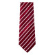 AP1228 | Vivonne | Krawatte - Mode-Accessoires