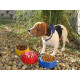 AP718060 | Puppy | dog bowl - Pets