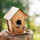AP718123 | Tomtit | bird house - Pets