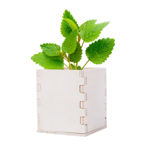 AP721179 | Merin | mint herb pot - Gardening
