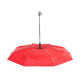 AP721882 | Alexon | umbrella - Umbrellas