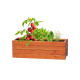 AP722148 | Tomarux | herb growing kit - Gardening