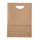 AP722219 | Haspun | paper bag - Paper Bags