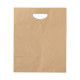 AP722220 | Drimul | paper bag - Paper Bags