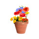 AP722388 | Mussox | Semenska kroglica - Vrtnarjenje