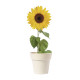 AP722844 | Tumil | flower pot - Gardening