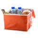 AP731486 | Coolcan | cooler bag - Thermal Bags