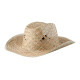 AP741009 | Bull | straw hat - Caps and hats