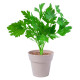 AP781236 | Nertel | herb pot set - Gardening