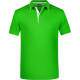 James & Nicholson | JN 728 | Moška Piqué Polo majica s črtami - Polo majice
