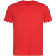 05.7000 Stedman T-lux| Crew Neck T - T-shirts