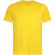 05.7000 Stedman T-lux| Crew Neck T - T-shirts