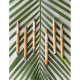 STD 81163. HERA. Kuli iz bambusa - Ekološka pisala
