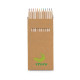 91746 CROCO. Pencil box with 12 coloured pencils - Drawing utencils